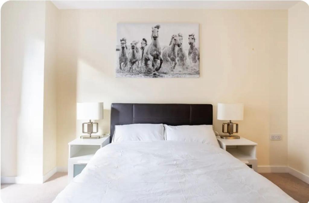 Appartement Luxury